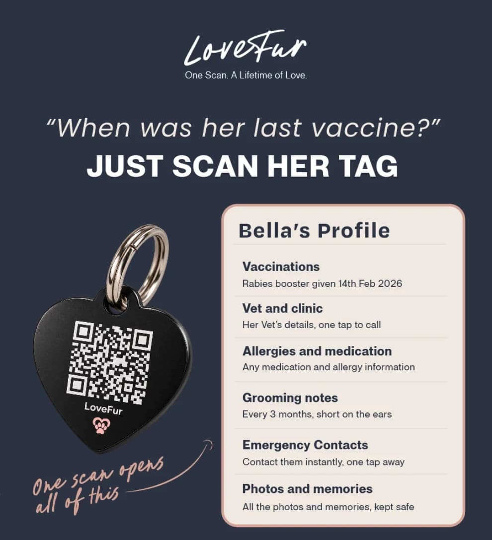 LoveFur QR tag opening pet vaccination, veterinary, grooming and emergency information